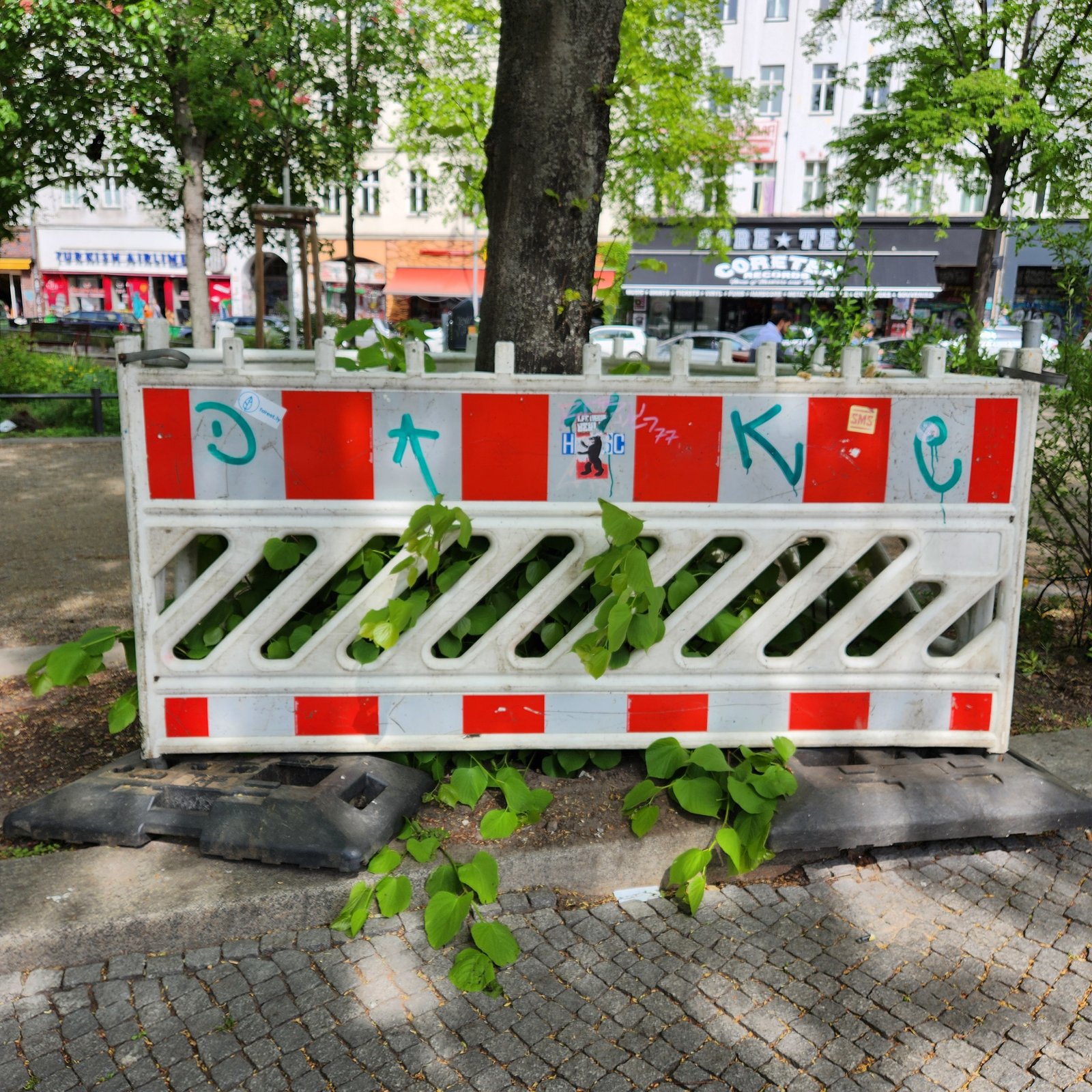 Nature's Reclamation