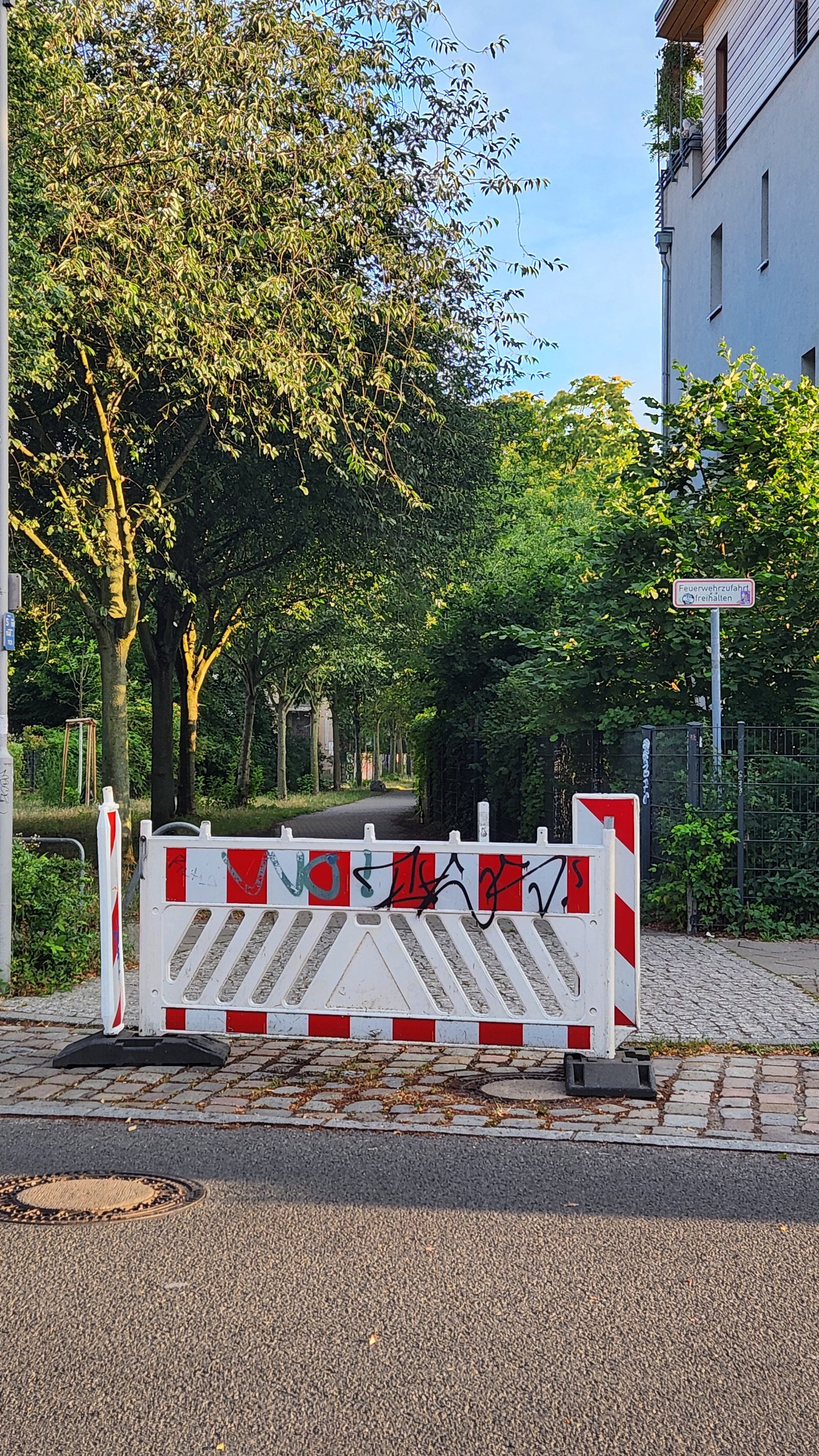 Forest Path Interruption